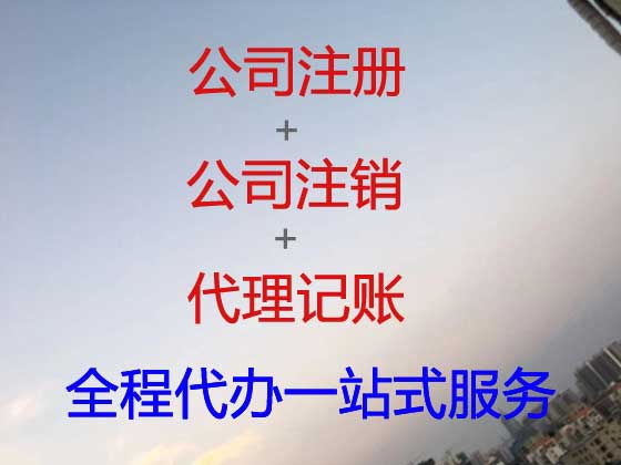 阿勒泰公司个体户注册